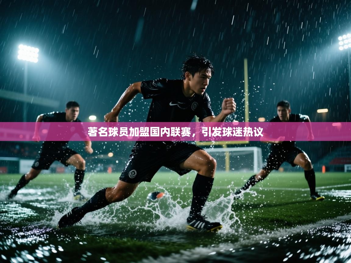 著名球员加盟国内联赛，引发球迷热议  第2张