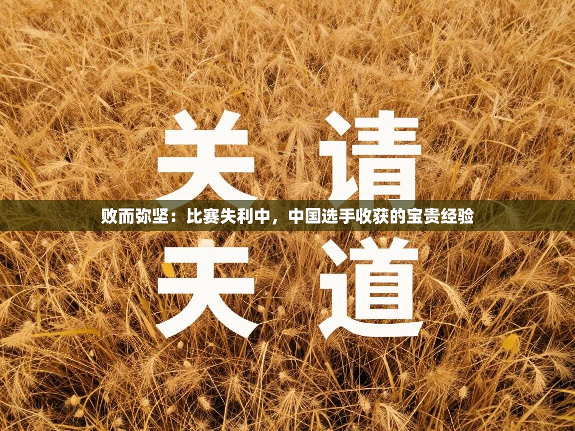 败而弥坚：比赛失利中，中国选手收获的宝贵经验  第1张