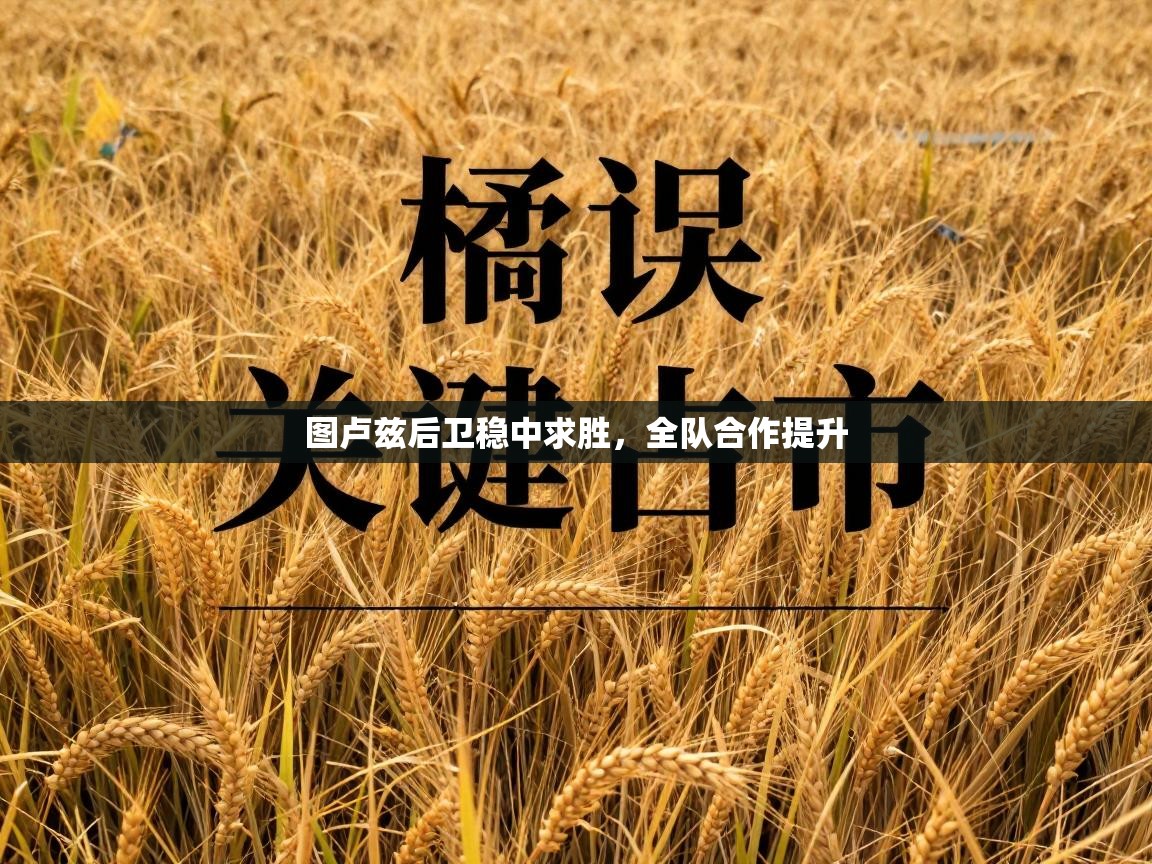 图卢兹后卫稳中求胜,全队合作提升 第2张