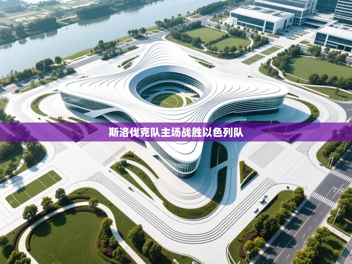 斯洛伐克队主场战胜以色列队 第2张