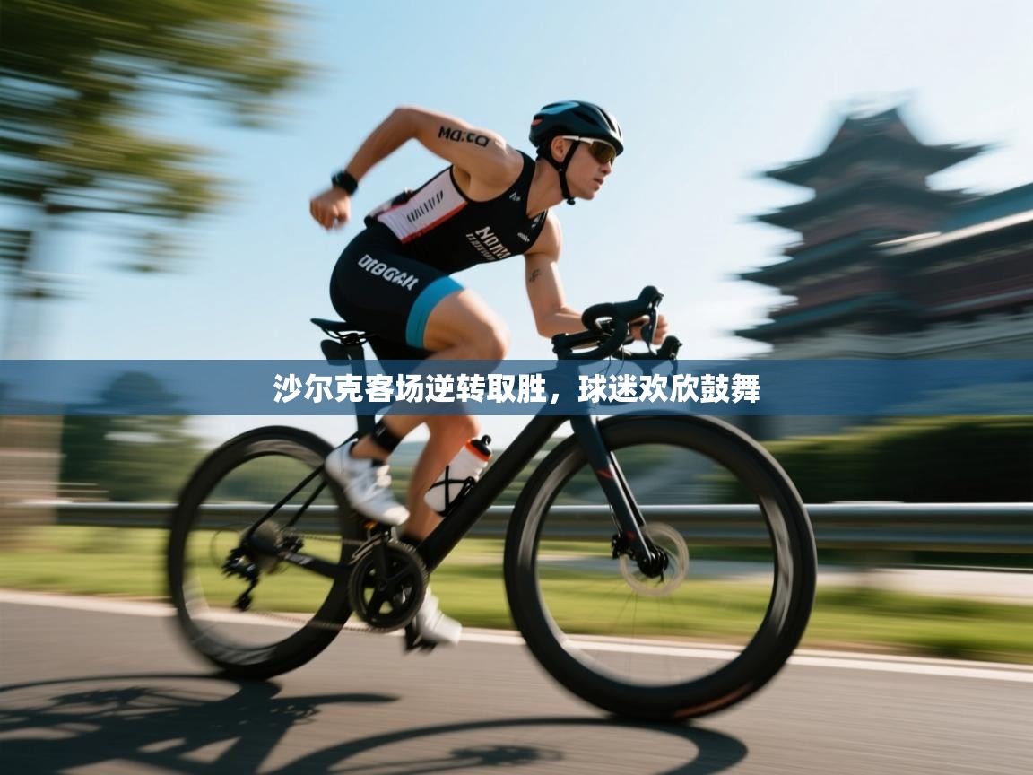 沙尔克客场逆转取胜，球迷欢欣鼓舞  第1张